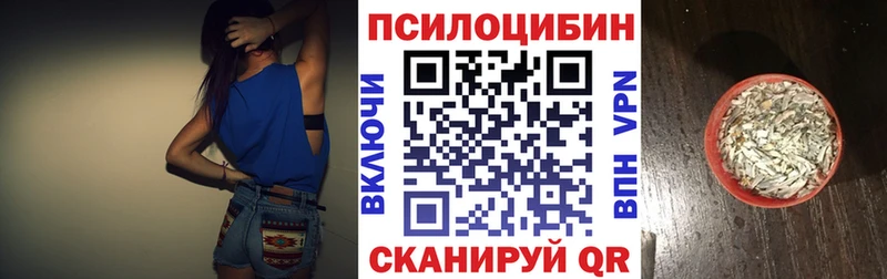 закладки  ОМГ ОМГ ССЫЛКА  Галлюциногенные грибы мицелий  Салехард 